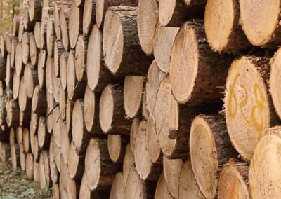 The Malaysian Wood Expo (MWE)