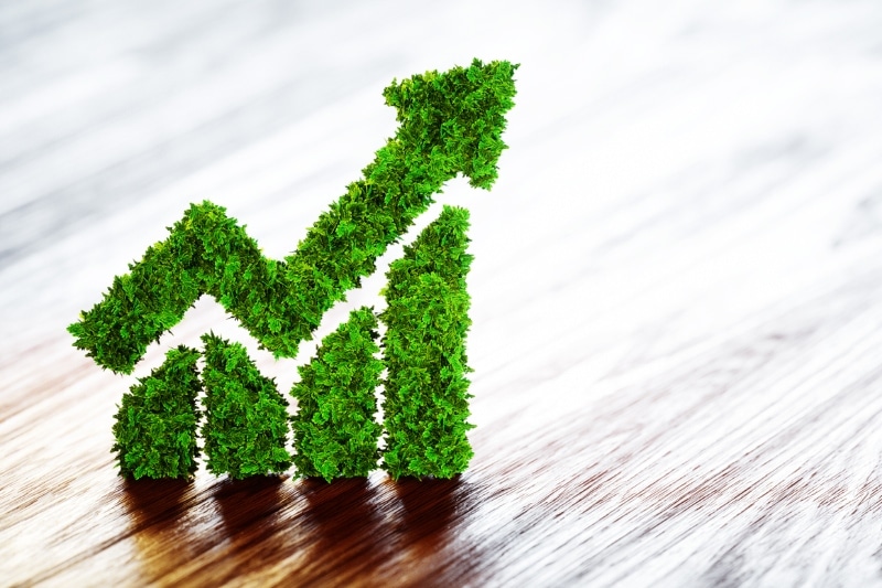 Webinar on Green Finance and Investment Opportunities in West Midlands and the UK