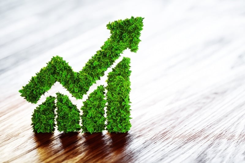 UK’s Development Finance Institution to Foster Green Investments in Indonesia