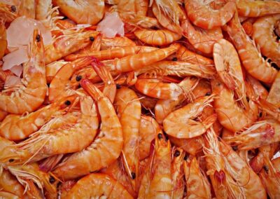 Indonesia and Vietnam Collaborate to Advance Lobster Production