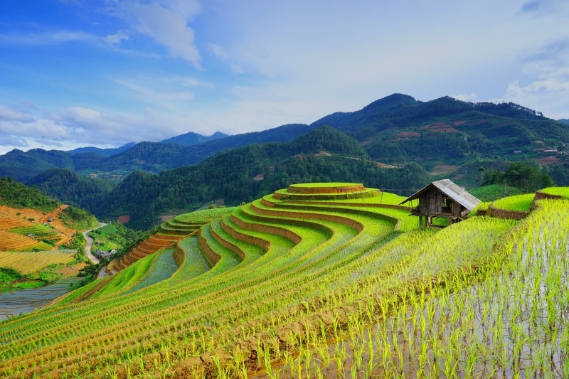 Germany’s President Highlights Sustainable Farming Collaboration with Thailand  