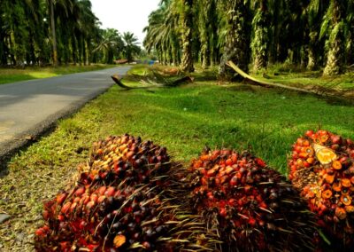 Malaysia Palm Oil Expo (MAPEX)