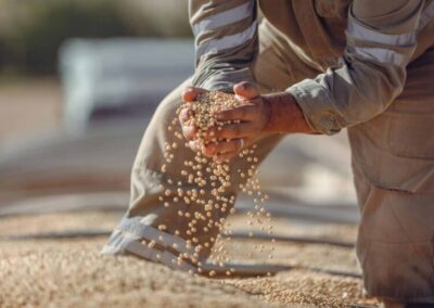 Vietnam Becomes Key Market for US Soybeans Amid Rising Demand