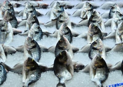 Vietnam’s Cold-Chain Infrastructure Gains Traction as Agritech Opportunities Expand